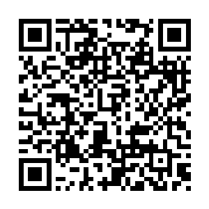 他这袋子神王巅峰的强者都能被其轻松的收进去二维码生成