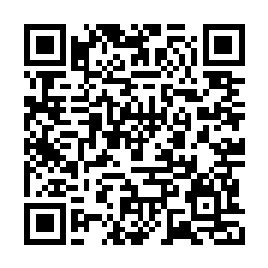 他这辈子就遇见过一个让他感觉非常吃力的演员二维码生成