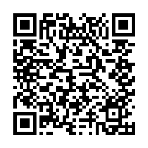 他这辈子都很难修炼到化神以上你明白我的意思吗二维码生成