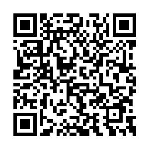 他连其中一个冒险者的头皮屑都能看的一清二楚二维码生成
