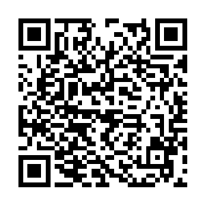 他连忙的冲走下主道向另一条下山阶梯路的身影喊二维码生成