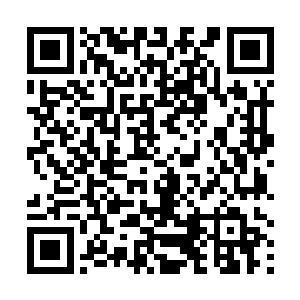 他选择了潜行或者躲藏――天知道他现在在哪个角落里二维码生成