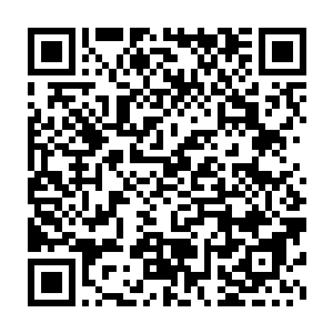 他通过望远镜可以很清楚地看到墙壁的青石上留下了密密麻麻的白点二维码生成