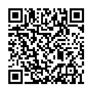 他那一枚攻击银环当场被锡兰真火烧成一团黑炭二维码生成