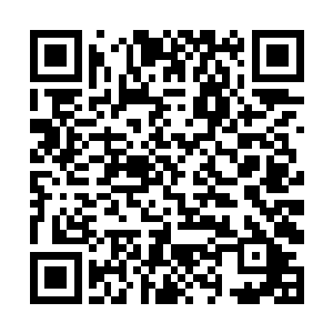 他那位电视台的朋友不光给谭晶安排了电视台的专访二维码生成