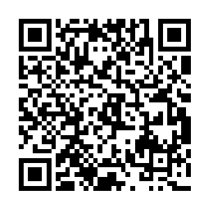 他那修长的指将托盘上清淡养身的菜肴一一放到了矮桌之上二维码生成