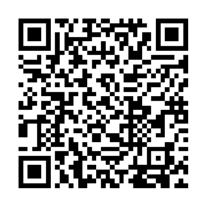 他那切入了辟寒大王身躯的虎魄刀也被随之拔了出来二维码生成