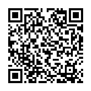 他那双沧桑难言的老眼在东方姐妹的身上打量了个来回二维码生成