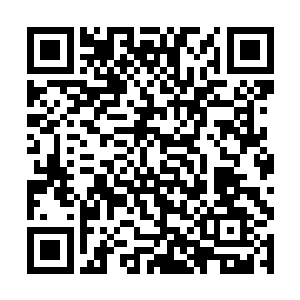 他那双锋锐的目光便一瞬不瞬的盯着剑尘手中的玉瓶二维码生成