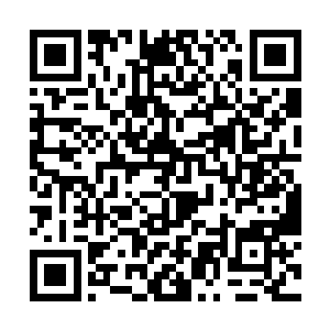 他那只白色的眼珠在黑暗当中忽然也散发着蓝光起来二维码生成