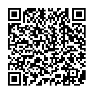 他那可以在很大程度上免疫物理伤害的元素之躯根本就挡不住这些小家伙的噬咬二维码生成