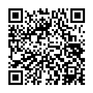 他那在神火法则以及毁灭法则的双重摧残下所消失的血肉二维码生成
