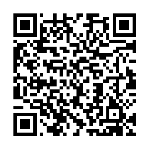 他那套护甲的战术分析系统和武器遥控系统在瞬间崩溃二维码生成