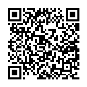 他那如同金刚狼一般的利爪便如同摧枯拉朽一般二维码生成