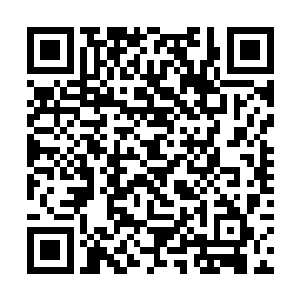 他那张因为整容而显得呆板的脸上看不出是什么表情二维码生成
