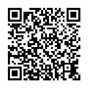 他那明亮如星辰的眼神环绕着溪水周围看了一圈二维码生成