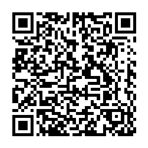 他那深深没入双子神体内的獠牙和利齿也撕扯下了双子神大片的血肉二维码生成