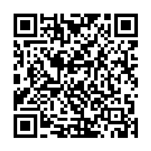 他那点输出打在这个开了大招的牛头身上简直就是挠痒痒二维码生成