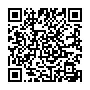 他那狮子头颅当中的一只眼睛发出了一种莫名其妙的笑容二维码生成