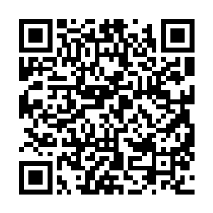 他那长尾在刺入世界之石后也渐渐生长出一根根银色丝线二维码生成