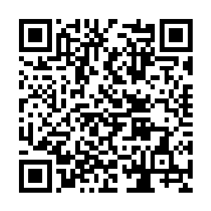 他都不容许南诏的兽族大军跨过大周南疆大门半步二维码生成