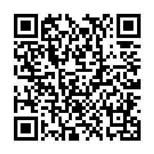 他都会一个人到契夫里村周边的村庄和野外看一看二维码生成