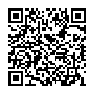 他都必须保证这一路上这个女孩不受到任何伤害二维码生成