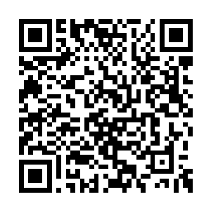 他都觉得那是闻秀峻为抬举自家姐姐的任性之语二维码生成