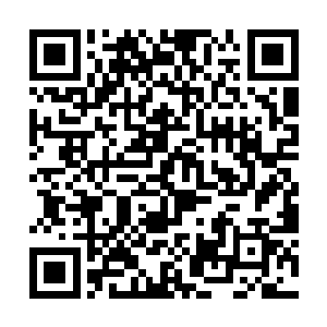 他锋锐的利爪和楚旬一样深深刺入了暴君的肌肉之中二维码生成