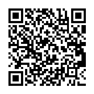 他除了要将从不药长老那里得来的材料交给洪川之外二维码生成