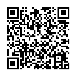 他难道是传说中万年前和清府野王大战过的那个男人吗二维码生成