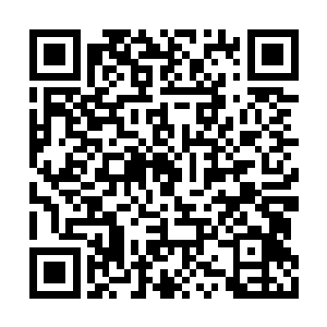 他难道看上去不像是一个尊老爱幼的五好青年吗二维码生成