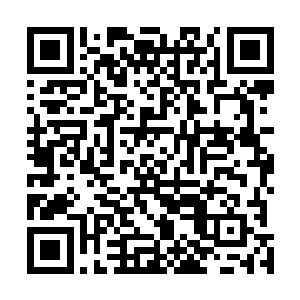 他难道真的会万里迢迢的从美国来到这里对付一个雷欢喜二维码生成