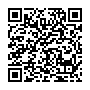 他需要的是忠心耿耿但拥有自我判断和执行能力的精锐战士二维码生成