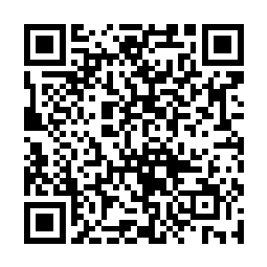 他非但感知不到这片虚无中存在半点可以利用的物质二维码生成