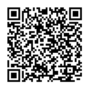 他领着部落里面二十多个人来到湿地刚开始准备就听到不远处有雪狼的叫声二维码生成