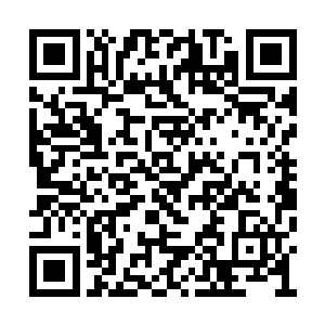 他马上就要主持各洲兵团改造和清剿海盗的战事二维码生成