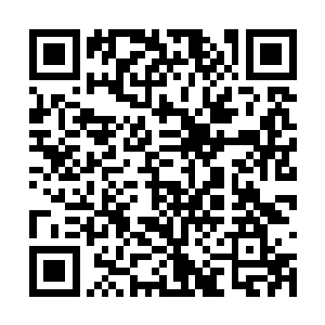 他骨子里隐藏的暴力分子总是能够得到充分的释放二维码生成