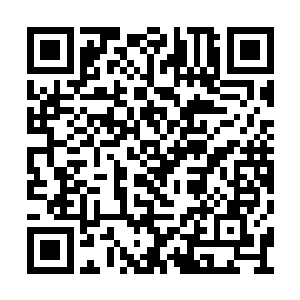 他默爹还给他弄来一堆动物奶……一点都不好喝二维码生成