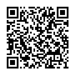 他默默的注视着已经进入无我无物之境的青怡轩二维码生成