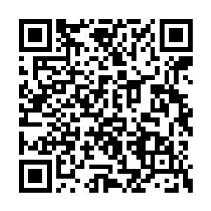 仗着自己不累不疲的僵尸之躯拼了命的四处乱窜二维码生成