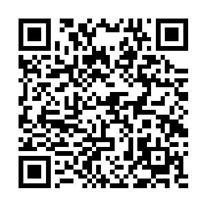 仗着自己实力强的妖若仙强行注入了法力进储物戒里查看二维码生成