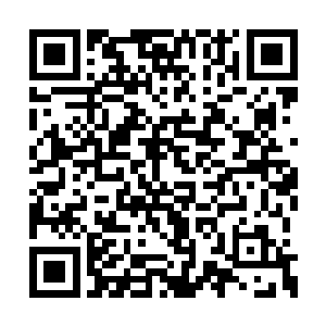 仗着过去在金陵的情分可以继续在这后宫里横行二维码生成