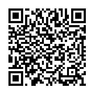 付出了无数代价都没有杀死的人会是普通的人吗二维码生成