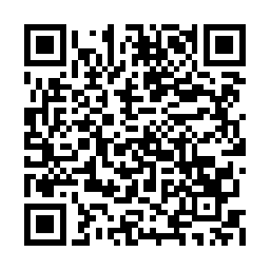 付出再大的代价也必须救回这位未来的神级师士二维码生成