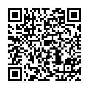 付出别人十倍的努力才将首都警备区的权力都抓到自己手里二维码生成