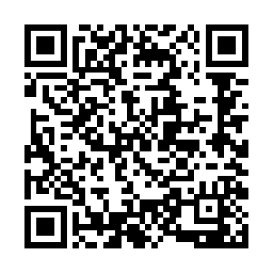 付真人这时候还在有滋有味的嚼着一只鸡脚爪的骨头二维码生成