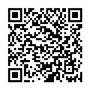 仙主四圣看到许紫烟有能力勾勒出如此威能的虚空画符二维码生成