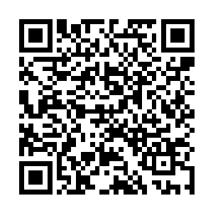 仙主等修士不知道许紫烟和燕山魂有没有把握破解阵图二维码生成