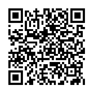 仙主等圣级九层初期以上的修士眼皮子就是一抽二维码生成